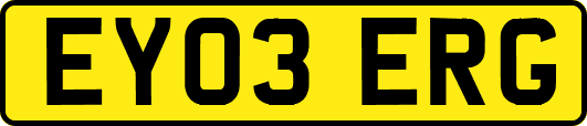 EY03ERG