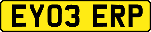 EY03ERP