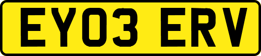 EY03ERV