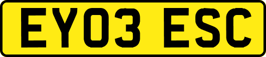 EY03ESC