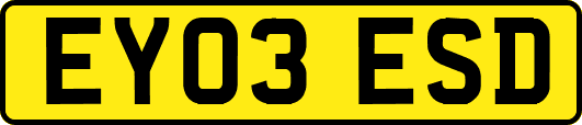 EY03ESD