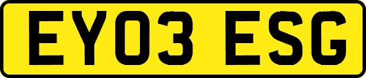 EY03ESG