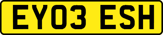EY03ESH