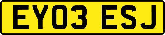 EY03ESJ