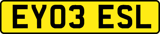 EY03ESL