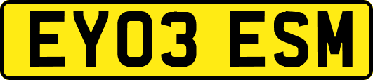 EY03ESM