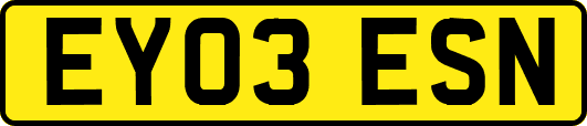 EY03ESN