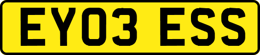 EY03ESS
