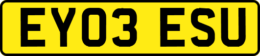 EY03ESU