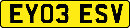 EY03ESV