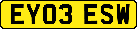 EY03ESW