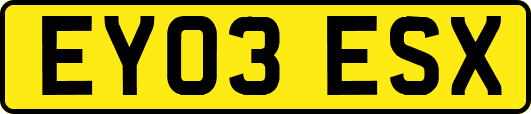 EY03ESX