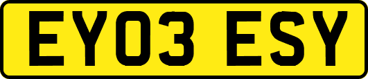 EY03ESY