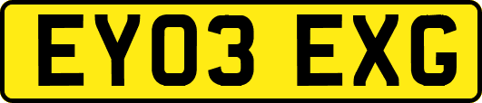 EY03EXG