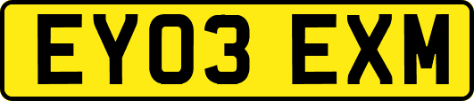 EY03EXM