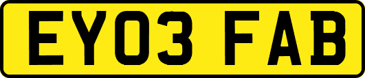 EY03FAB