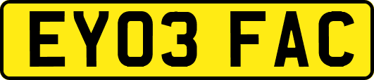 EY03FAC