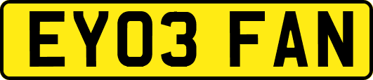 EY03FAN