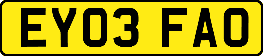 EY03FAO