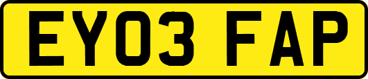 EY03FAP