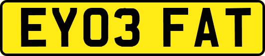 EY03FAT