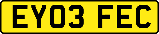 EY03FEC
