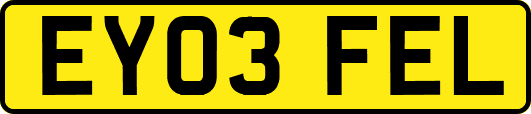 EY03FEL