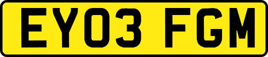 EY03FGM