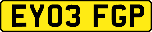 EY03FGP