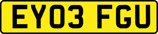 EY03FGU