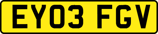 EY03FGV