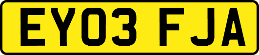 EY03FJA