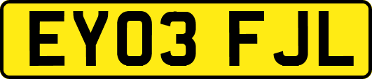 EY03FJL
