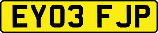 EY03FJP