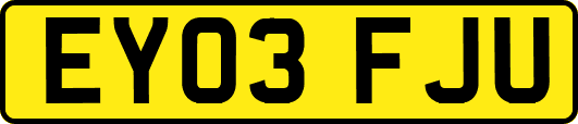 EY03FJU