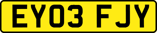 EY03FJY