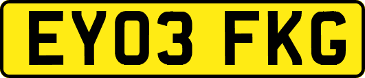 EY03FKG