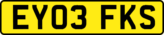 EY03FKS