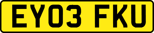 EY03FKU