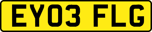 EY03FLG