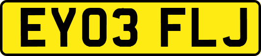 EY03FLJ