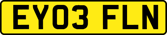 EY03FLN