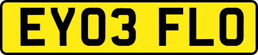 EY03FLO