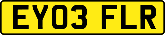 EY03FLR