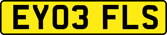 EY03FLS