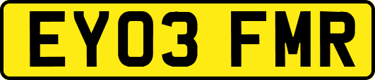 EY03FMR