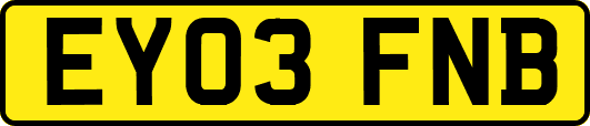 EY03FNB