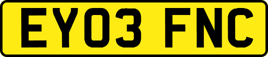 EY03FNC