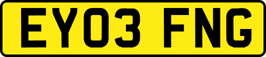 EY03FNG