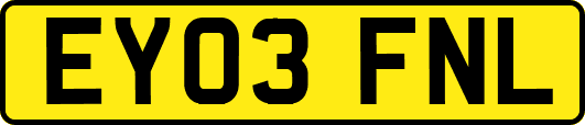 EY03FNL